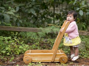 montessori-wood-toys-toddler